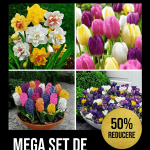 Pachet mixt 50 bulbi inflorire primavara