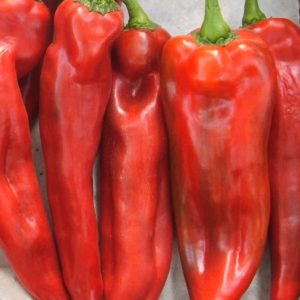 Ardei lung capia dulce