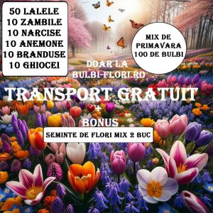 Pachet Special 100 Bulbi de Primavara