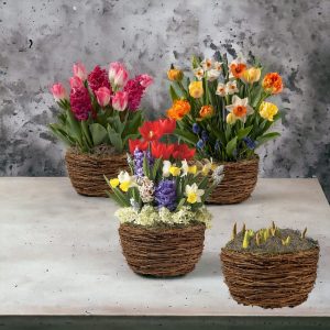 Cos cu flori de primavara cu bulbi - Cadou perfect pentru primavara!