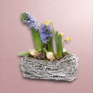 Aranjament primavara cu zambile, narcise si lalele