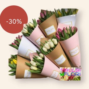 Buchet 7 fire lalele