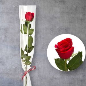 trandafir la fir -set de 10 fire ambalate individual