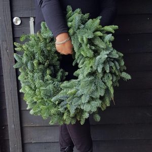 Coroniță Nobilis (Brad Natural Argintiu) nedecorata pret /set 10 buc