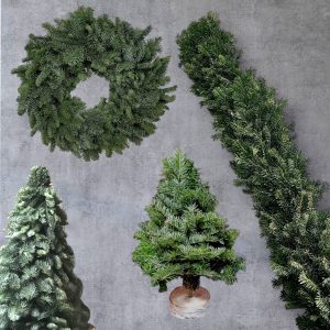 Set Crăciun Nedecorat