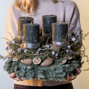 coronita advent nobilis