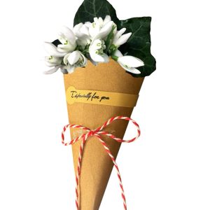 BUCHET GHIOCEI AMBALAT