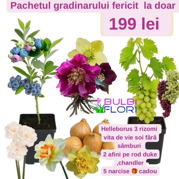 Pachetul Grădinarului Fericit – doar 199 lei