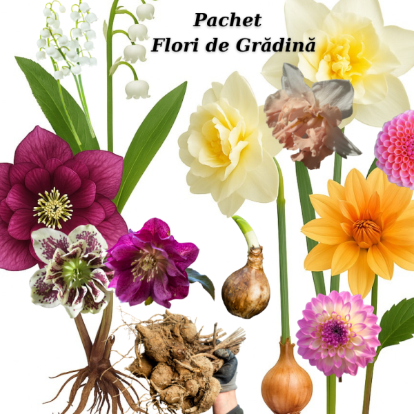 MEGA Pachet Flori de Grădină – pentru fiecare anotimp