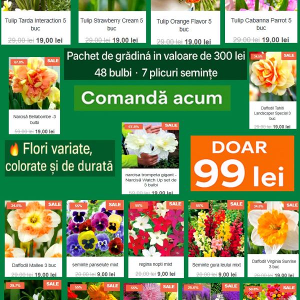 🌸 Pachetul Flori – Bulbi & Semințe