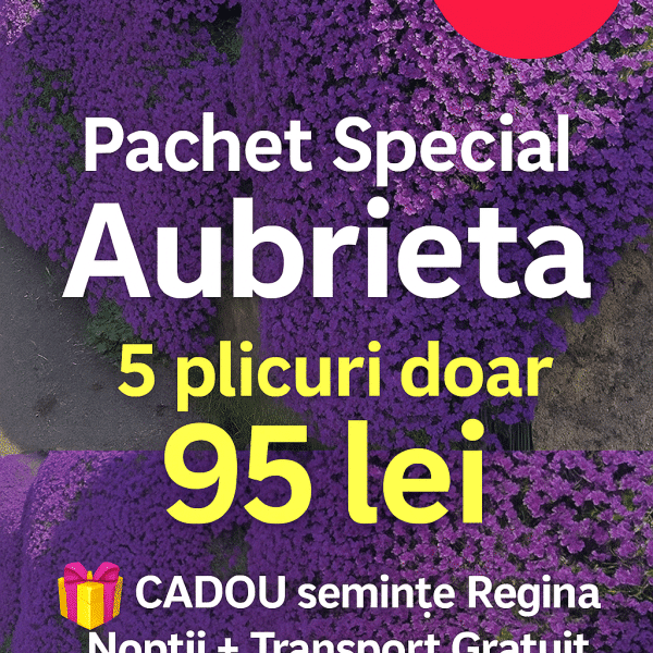 Grădină de Vis ? Pachet Aubrieta – 5 Plicuri + CADOU & Transport Gratis