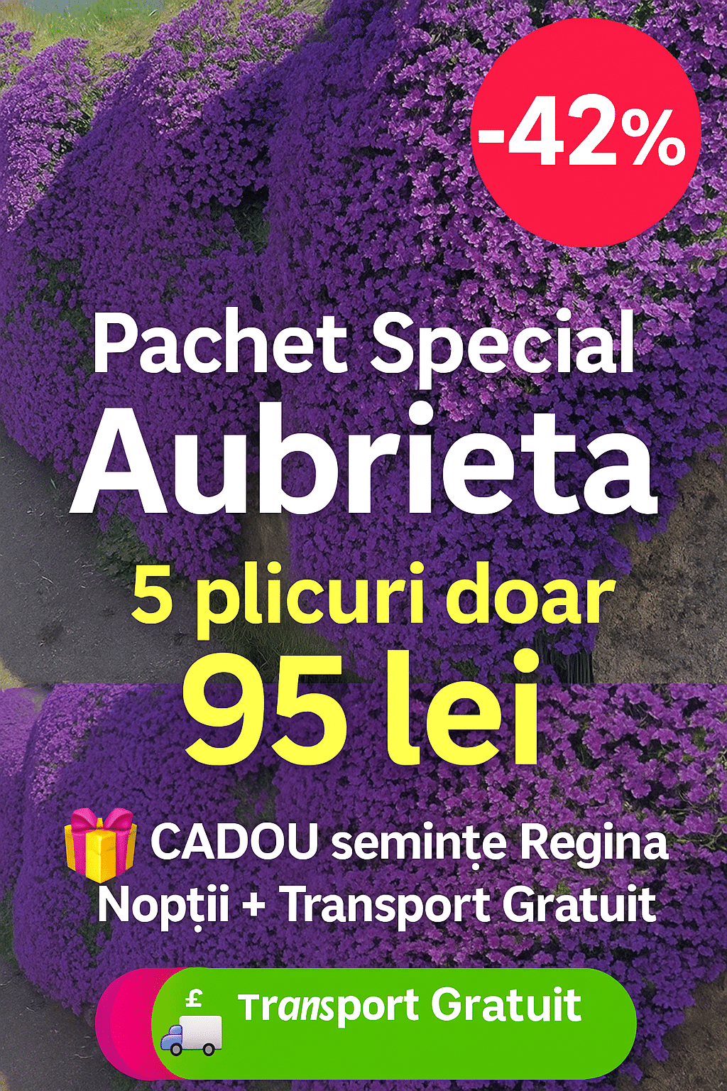 Grădină de Vis ? Pachet Aubrieta – 5 Plicuri + CADOU & Transport Gratis