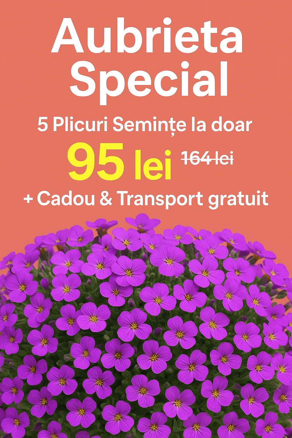 Grădină de Vis ? Pachet Aubrieta – 5 Plicuri + CADOU & Transport Gratis - imagine 2