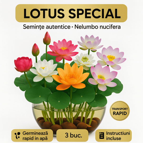 Semințe LOTUS SPECIAL