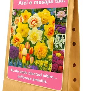 Cadou cu Flori – Mesaj pentru Suflet