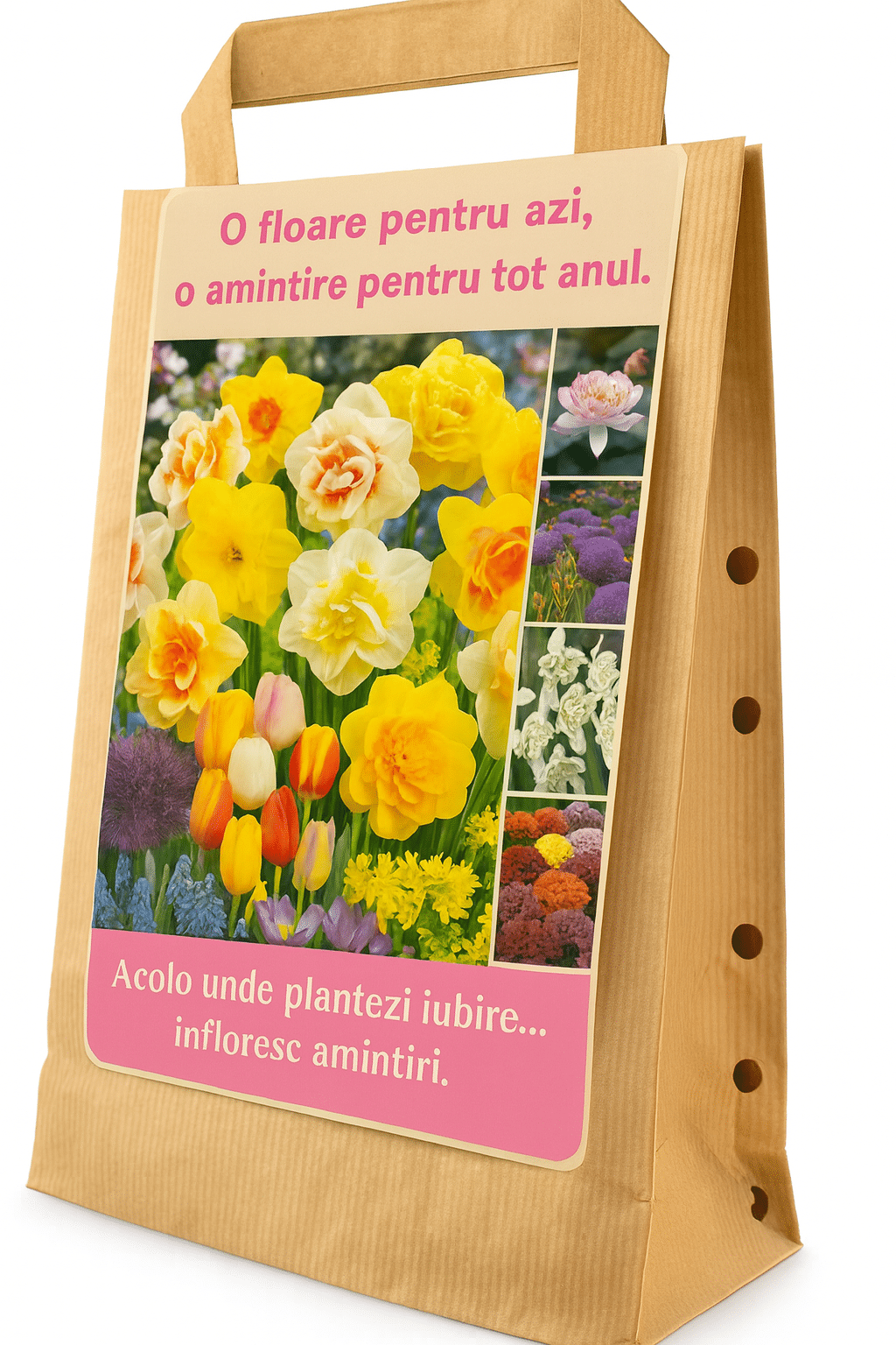 Cadou cu Flori – Mesaj pentru Suflet - imagine 2