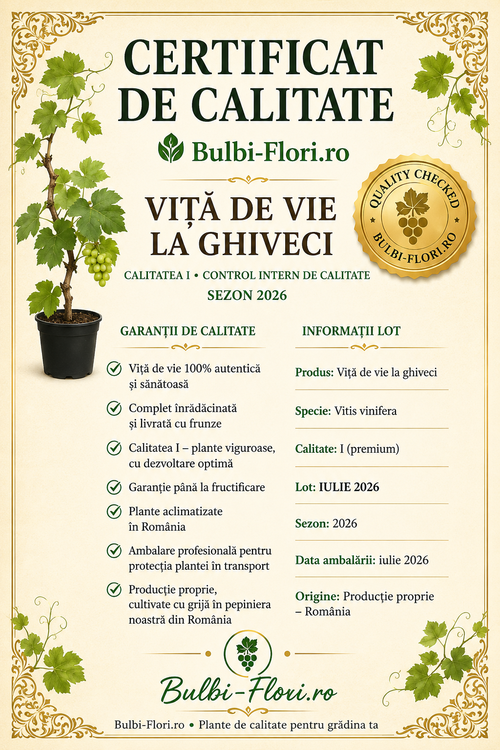 Certificat de calitate Viță de vie la ghiveci Bulbi-Flori.ro