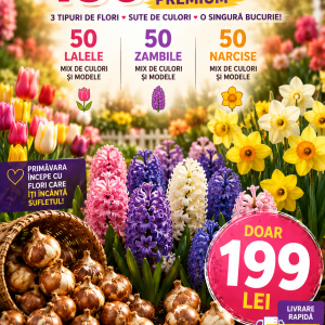 Pachet 150 Bulbi de Primăvară Premium – Doar 199 Lei